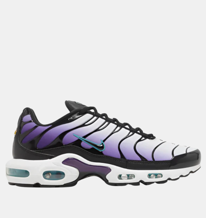 Nike TN Air Max Plus Reverse Grape