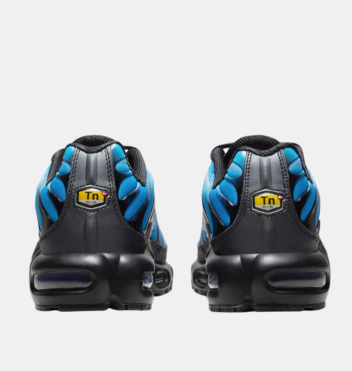 Nike TN Air Max Plus Black Blue Gradient (2023)