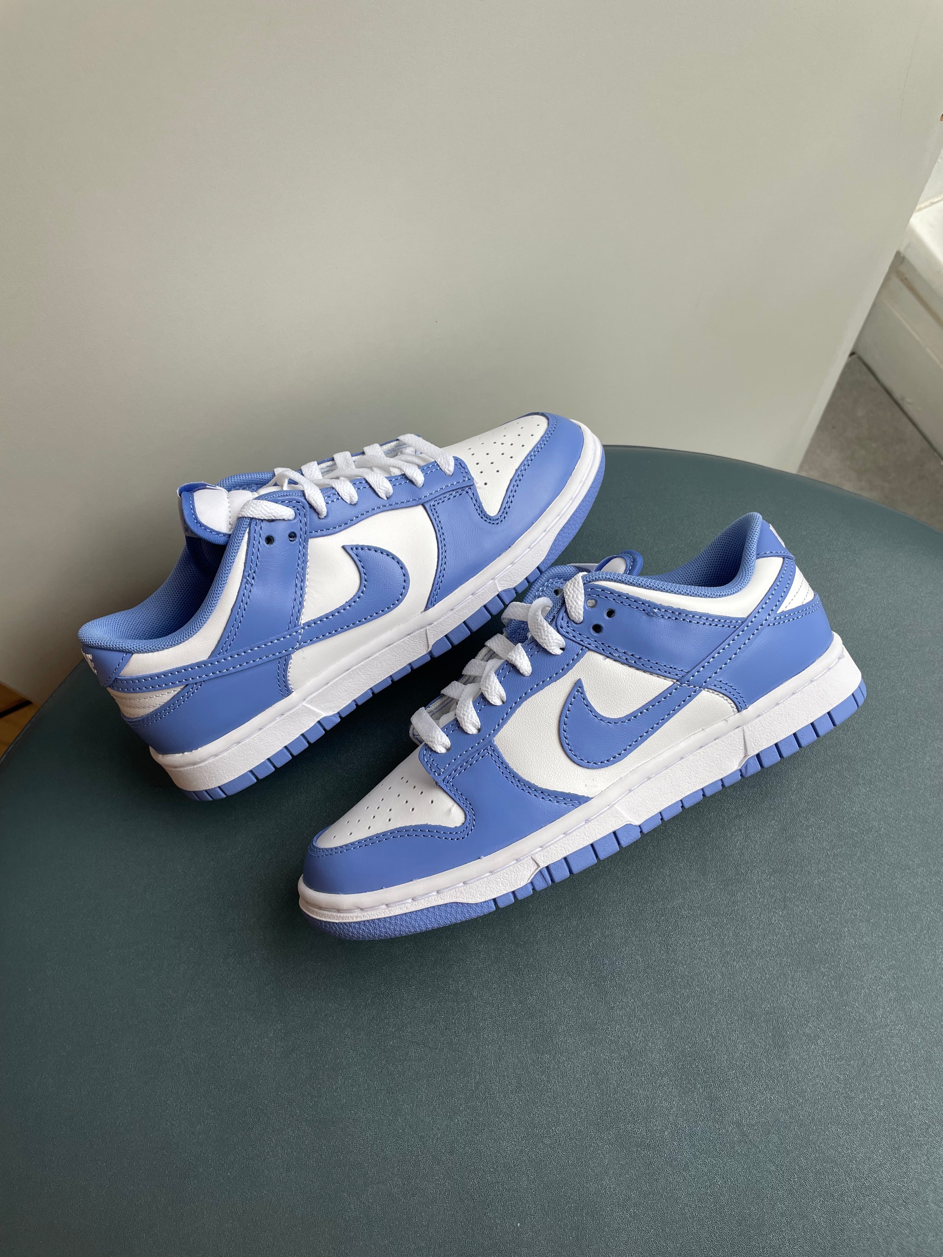 Nike Dunk Low Polar Blue