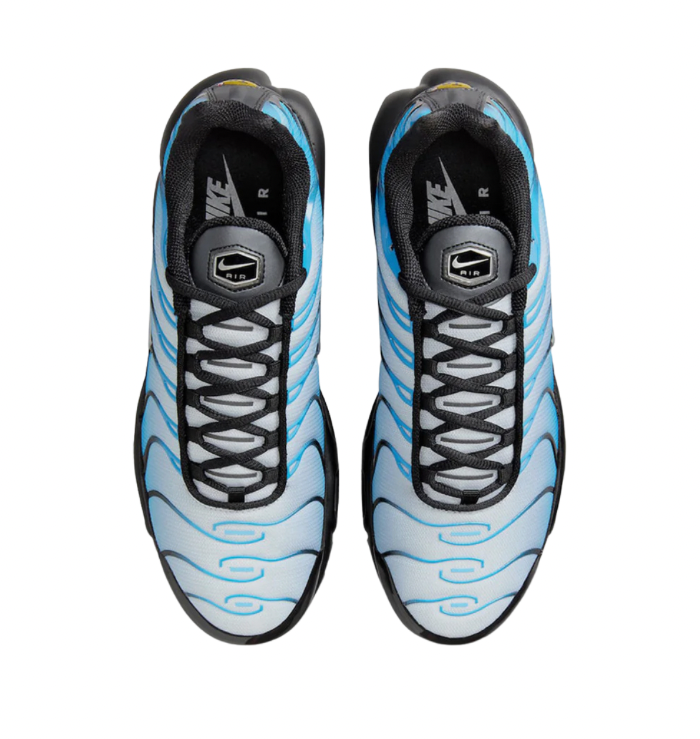 Nike TN Air Max Plus Black Blue Gradient (2023)