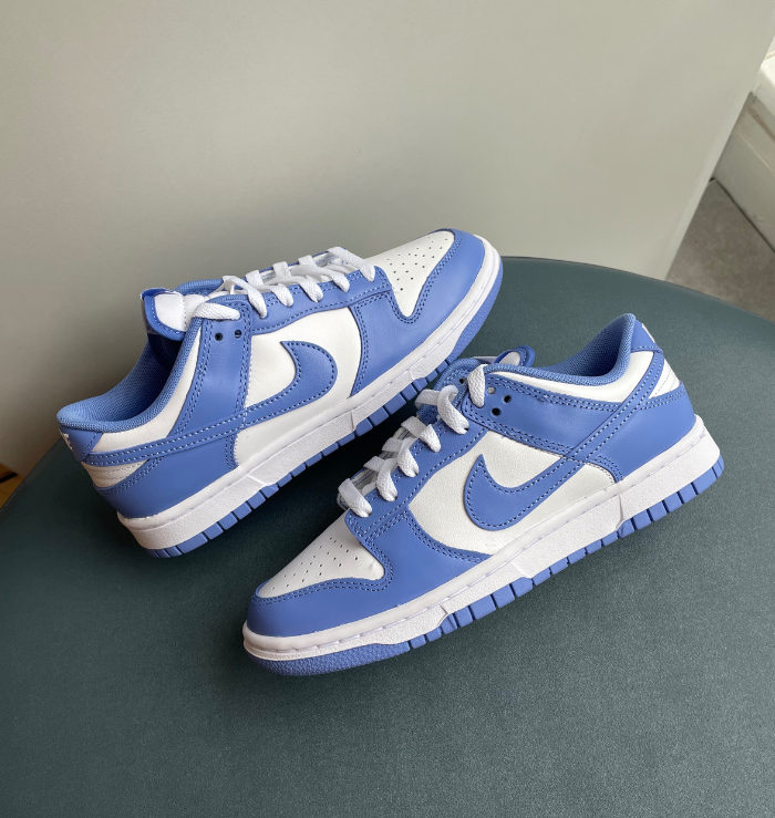 Nike Dunk Low Polar Blue