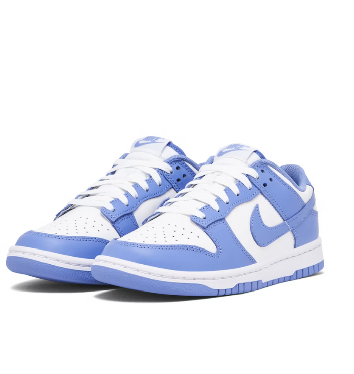 Nike Dunk Low Polar Blue (front side view)